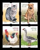 [Definitives - Domestic Animals, type AII]