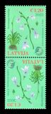 [Flora - Water Lobelia, type AIY]