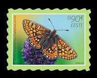 [Butterfly of the Year – Marsh Fritillary, tegund BDE]