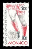 [Football World Cup - U.S.A, 유형 CGI]