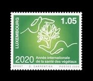 [International Year of Healthy Vegetation, Tipi BZC]