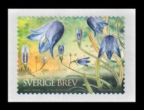 [Selection of Sweden's National Flower - Small Bluebell - Sweden's National Flower, típus DFI]