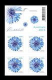 [Cornflower, type BDU]