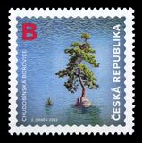 [Environment Protection - Chudobin Pine Tree, típus ASV]