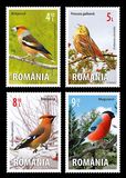 [Fauna- Birds, type JYI]