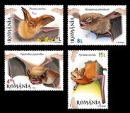 [Fauna - Bats, type KFU]