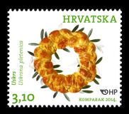 [Semana Santa., tipo AMG]