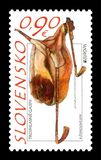 [EUROPA Stamps - Musical Instruments, ประเภท XQ]