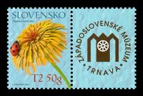 [Perzonalised Stamp - Medicinal Plants, ประเภท XT]