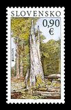 [EUROPA Stamps - The Forest, tyyppi VC]