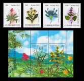 [Flora - Rare Plants, Scrivi AJI]