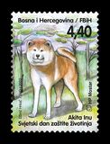 [World Animal Day - Akita Inu, 類型 VT]