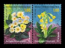 [Insects - Flowers - Primrose, 類型 VV]