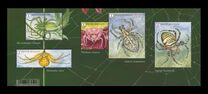[Spider Splendour, type FNJ]