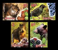 [Fruits and Fauna, Вид JVV]