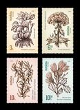 [Invasive Species, type LOV]