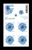 [Cornflower - "2023" Imprint, type BDU1]