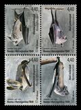 [Bats of Bosnia, 類型 WR]