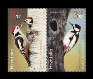 [Protected Bird Specie - Middle-spotted and White-winged Woodpecker - Joint Issue with Kyrgyzstan, type BBT]
