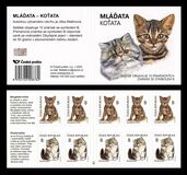 [Fauna - Kittens, 类型 ASL]