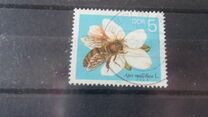 [Honey Bees, type DFR]