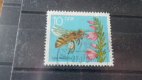 [Honey Bees, type DFS]