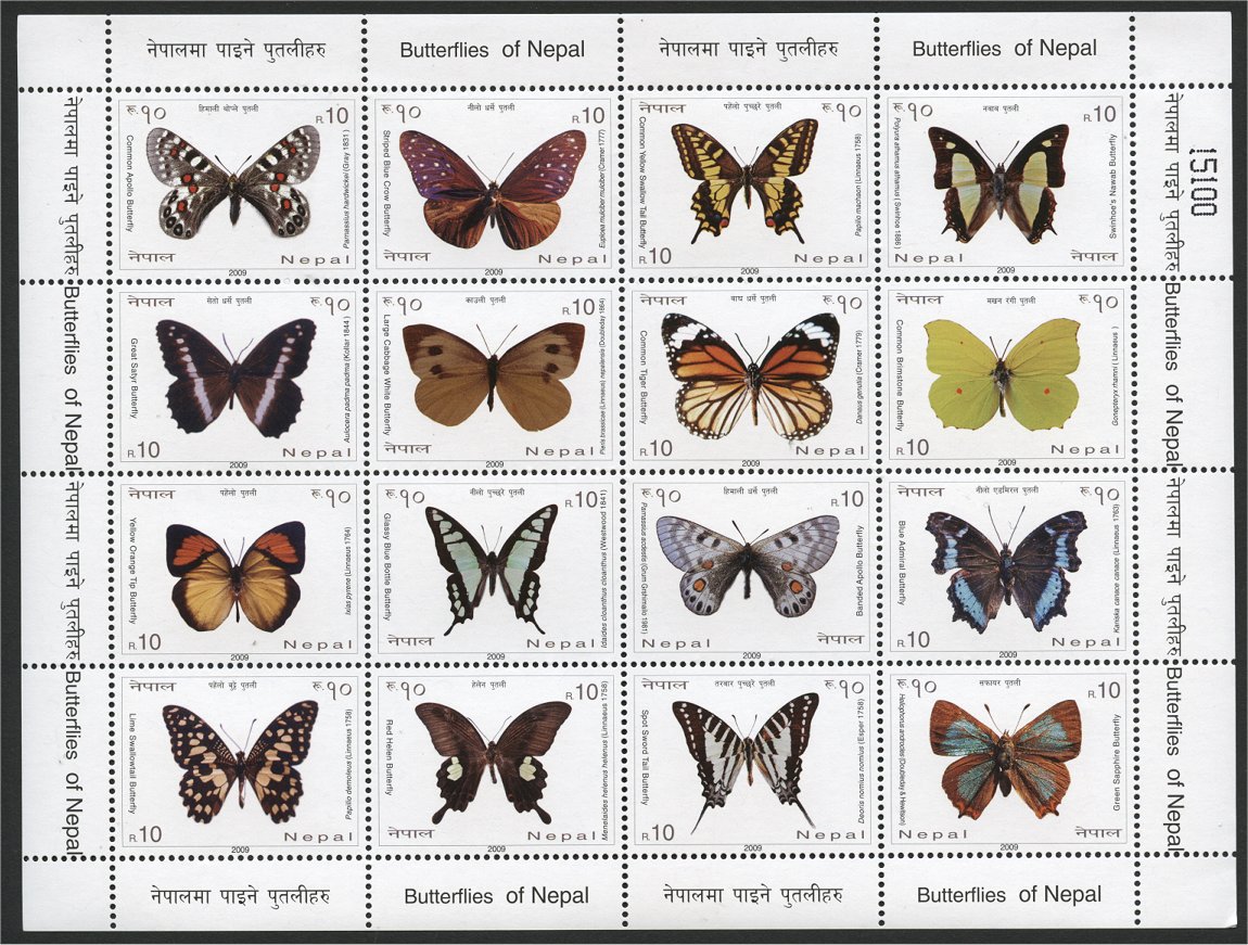minisheet minisheet