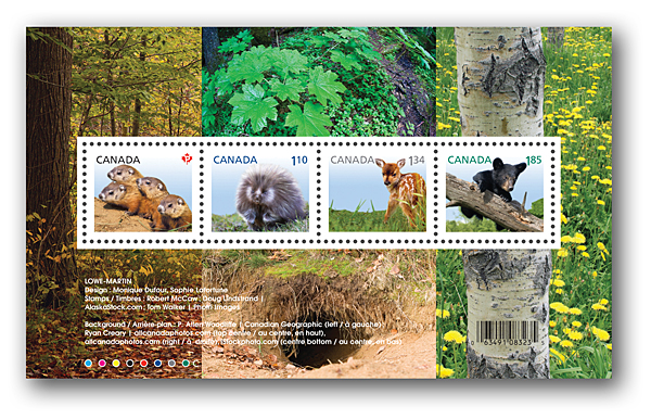 souvenir sheet souvenir sheet