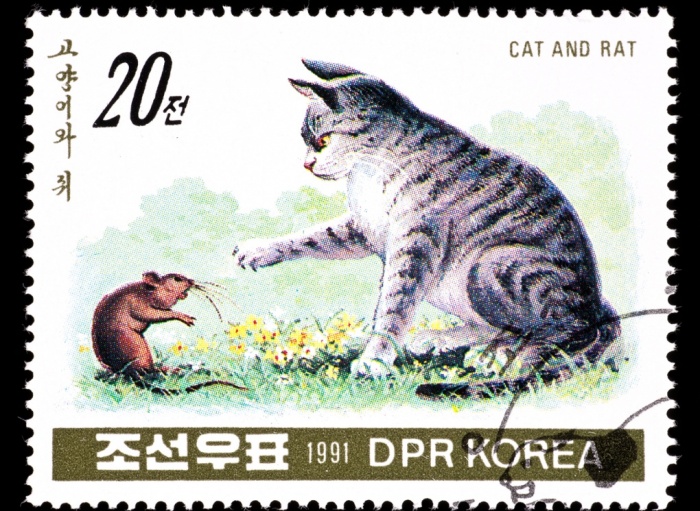stamp themes - cat and rat stamp